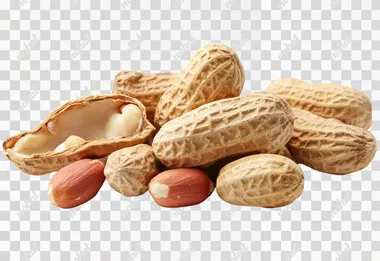 Peanuts, high-resolution photo of peanuts with the skin open, showing their shells on a white background