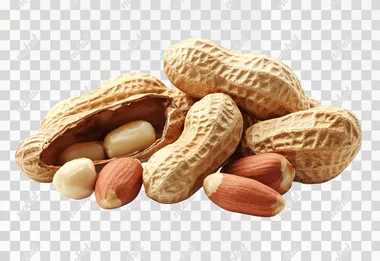 Peanuts, high-resolution photo of peanuts with the skin open, showing their shells on a white background