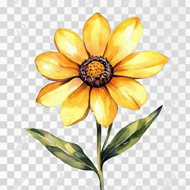 beautiful and cute watercolor yellow flower. boho chic style. earthy tones. children's book illustration. penne greenwood style. white background, isolated