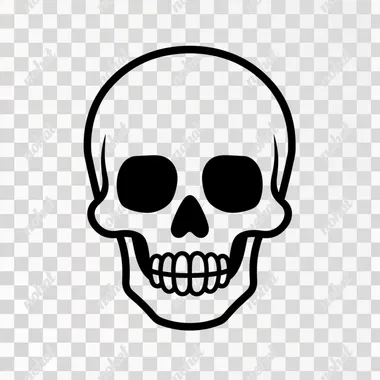 simple icon representation of skull, black lines, white background