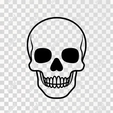 simple icon representation of skull, black lines, white background