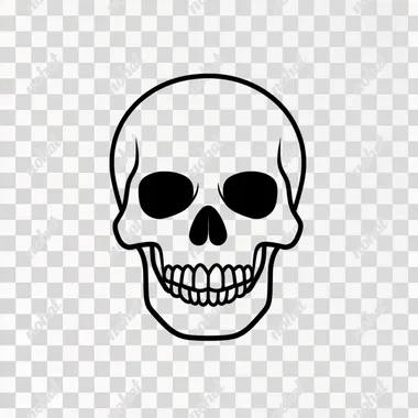 simple icon representation of skull, black lines, white background