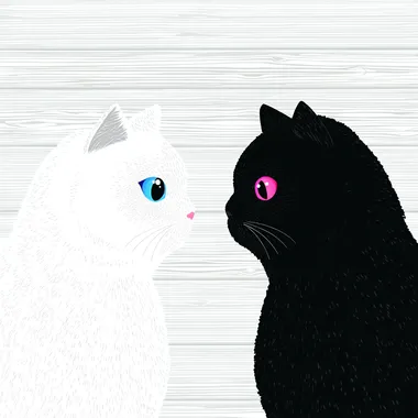 A black cat and a white cat face each other, in a cute cartoon style, with a simple white background. The cats have colorful, eye-catching eyes, and the composition is high-resolution and super detailed, resulting in a high-quality, high-definition wallpaper.   buixf8g