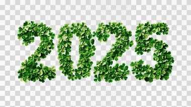 the number “2025” made of shamrocks, isolated on black background
