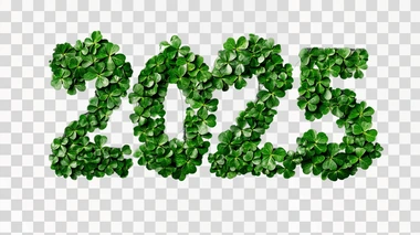 the number “2025” made of shamrocks, isolated on black background