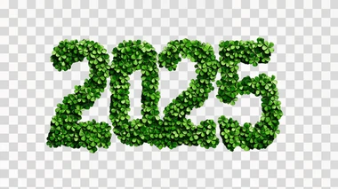 the number “2025” made of shamrocks, isolated on black background