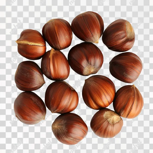 PNG Mature chestnuts on a white background, ready to enjoy without picking