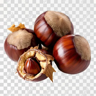 Mature nuts, chestnuts, white background, no need to pick