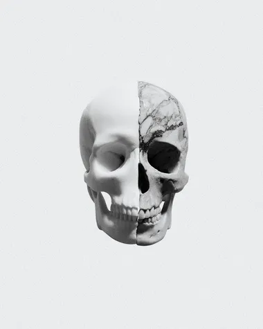 marble textured skull, graphite drawing    vst9m8g
