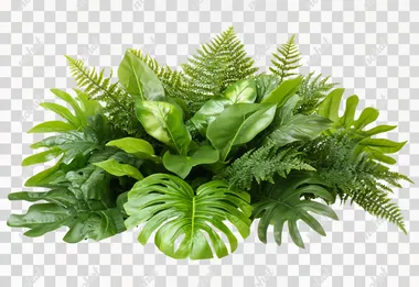 Green leaves of tropical plants bush (Monstera, palm, fern, rubber plant, pine, birds nest fern) floral arrangement indoors garden nature backdrop isolated on white background