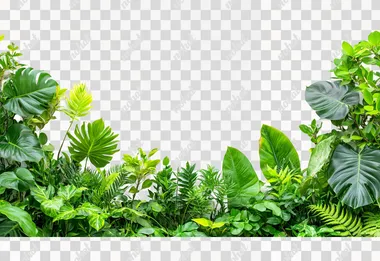 Green leaves of tropical plants bush (Monstera, palm, fern, rubber plant, pine, birds nest fern) floral arrangement indoors garden nature backdrop isolated on white background