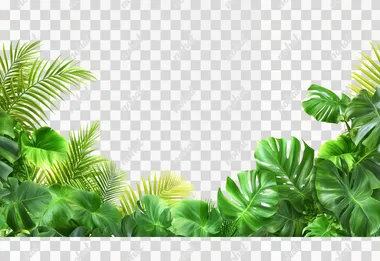 Green leaves of tropical plants bush (Monstera, palm, fern, rubber plant, pine, birds nest fern) floral arrangement indoors garden nature backdrop isolated on white background