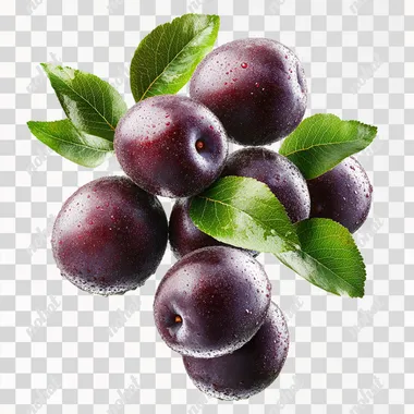 Several dozen Xinjiang plums, glistening with water droplets under the sunlight and adorned with lush green leaves, floating in mid-air. The photo was taken from a frontal angle against a white background. Realistic and clean background, high quality, top quality, ultra-high detail, still life, no people, RAW photo, crazy detail, highly detailed, master-level photo, 8K resolution, cinematic texture, bright tones. empty