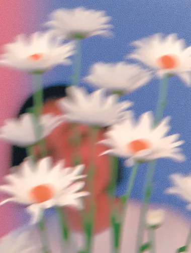 portrait of a lot of daisies within one frame, blurry, minimalistic     --sw 1000  --s 250   mjakwx2