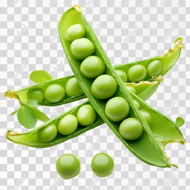 Pea pods, open, plump, green, very fresh, looking down, white background, head to right, photo, high-definition, v6.1