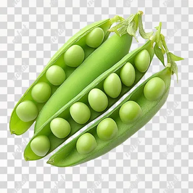 Pea pods, open, plump, green, very fresh, looking down, white background, head to right, photo, high-definition, v6.1