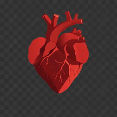 a simplistic vector art of a heart symbol in a monotonic red color on a plain white background