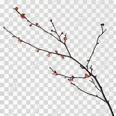 Plum branches, some plum blossoms, interior accessories, white background, simple feeling