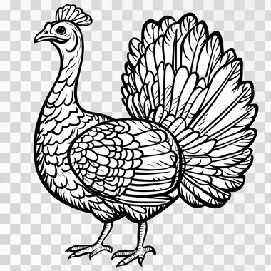 Line art black and white simplified of a buff looking turkey