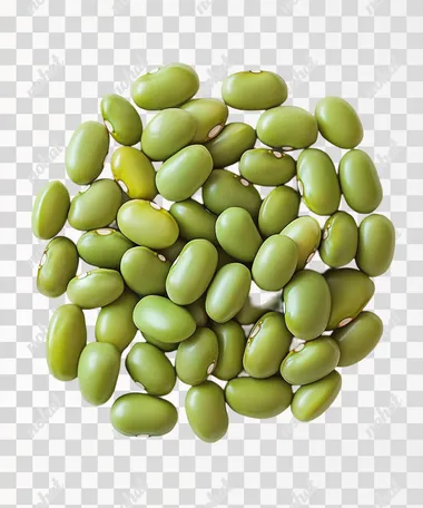 A mung bean, rendered with real textures and a white background. The beans are oval in shape with visible seed teeth on the surface. It is depicted as a solid, high quality, oc rendered without any internal structure or reflection  --s 250