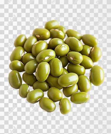 A mung bean, rendered with real textures and a white background. The beans are oval in shape with visible seed teeth on the surface. It is depicted as a solid, high quality, oc rendered without any internal structure or reflection  --s 250