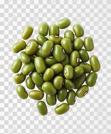 A mung bean, rendered with real textures and a white background. The beans are oval in shape with visible seed teeth on the surface. It is depicted as a solid, high quality, oc rendered without any internal structure or reflection  --s 250