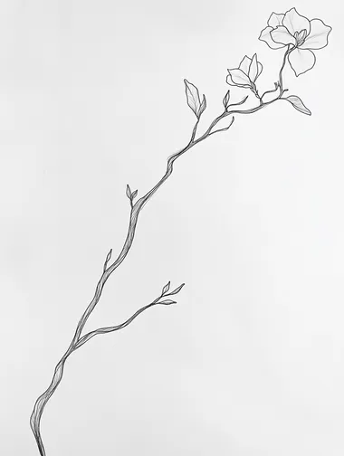 Create a line drawing of a long, slender tree branch with a single jasmine flower blooming at the end. The branch should extend across the composition, with clean, continuous lines that capture its natural length and gentle curves. The jasmine flower should be detailed yet simple, with smooth, flowing lines that outline the petals and leaves. The overall design should be minimalistic, focusing on the elegance of the long branch and the delicate bloom at its tip, using only black or dark ink lines