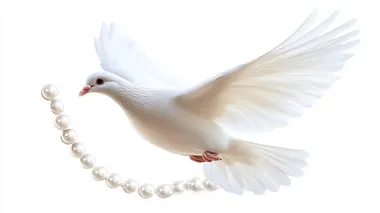 Potrait of flying white dove, cut out ,isolate on white background