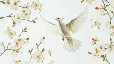 Potrait of flying white dove, cut out ,isolate on white background