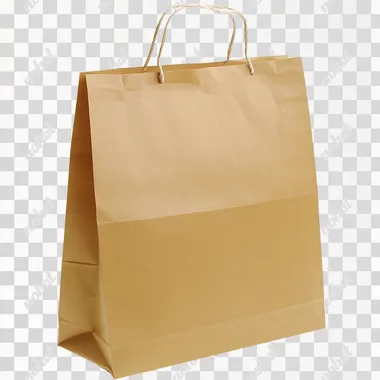 CRAFT PAPER BAG WHITE PNG