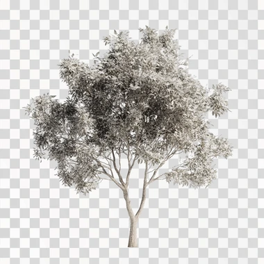 tree, hyper realistic, white background, ultra sharp pixels, ultra realistic texture