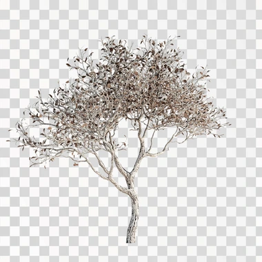 tree, hyper realistic, white background, ultra sharp pixels, ultra realistic texture