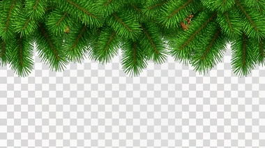 Christmas Tree Border, rectangle shape, isolated