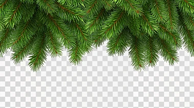 Christmas Tree Border, rectangle shape, isolated