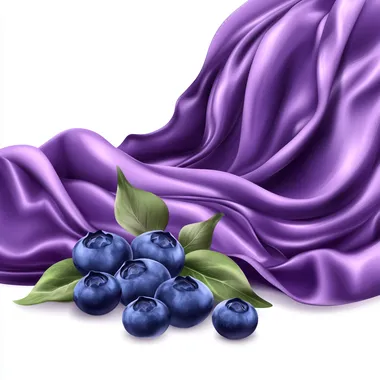 A wave of purple fabric with blueberries next to it, vector image on a white background