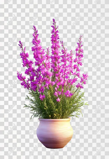 photoreal canadian fireweed on white background