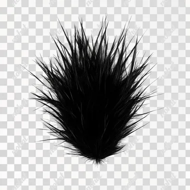 spiky hair isolated on white background