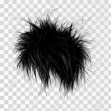 spiky hair isolated on white background
