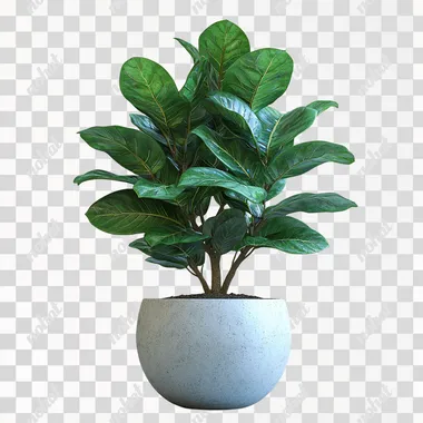 3d plant. Plant is in the pot. Front side. white background.  --s 750