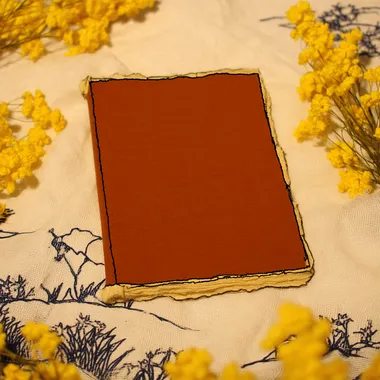 top view; a book with brown cover placed in the middle of the frame; isolated in white background; fairy tale mood    rofile h7defyk