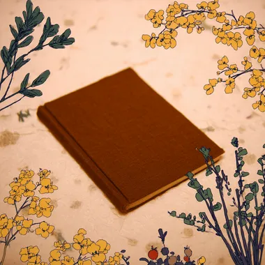 top view; a book with brown cover placed in the middle of the frame; isolated in white background; fairy tale mood    rofile h7defyk