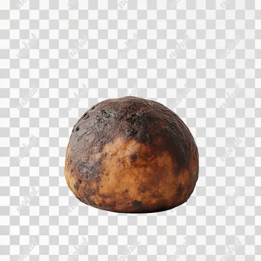Christmas pudding against a blank white background