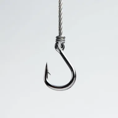 a silver fishing hook head down, hanging by a fishing cable  rofile mwaq4ne  --raw
