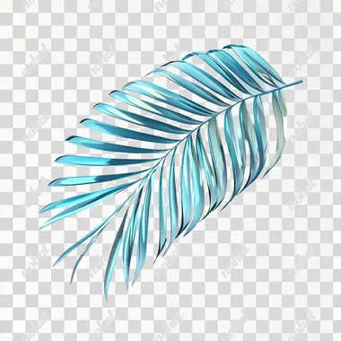 a palm frond isolated on a white background  --s 50