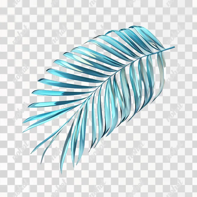 Elegance of a Palm Frond: Nature's Simple Beauty