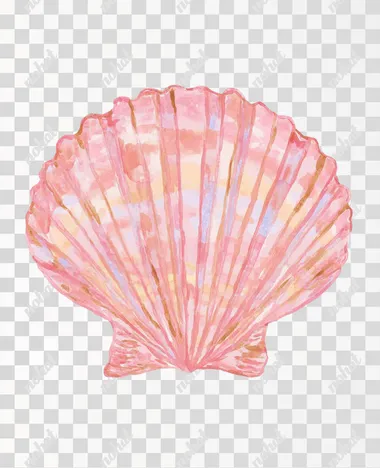 "Watercolor illustration of a single scallop seashell, painted in soft pastel tones of pink, peach, coral, and light blue, on a clean white background, minimal and elegant composition, delicate brush texture, botanical illustration style