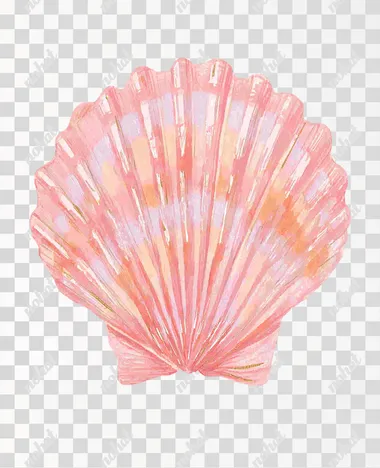 "Watercolor illustration of a single scallop seashell, painted in soft pastel tones of pink, peach, coral, and light blue, on a clean white background, minimal and elegant composition, delicate brush texture, botanical illustration style