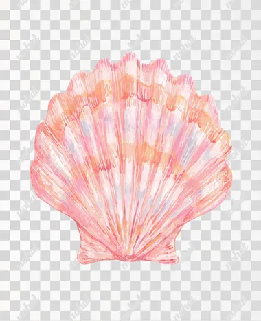 "Watercolor illustration of a single scallop seashell, painted in soft pastel tones of pink, peach, coral, and light blue, on a clean white background, minimal and elegant composition, delicate brush texture, botanical illustration style