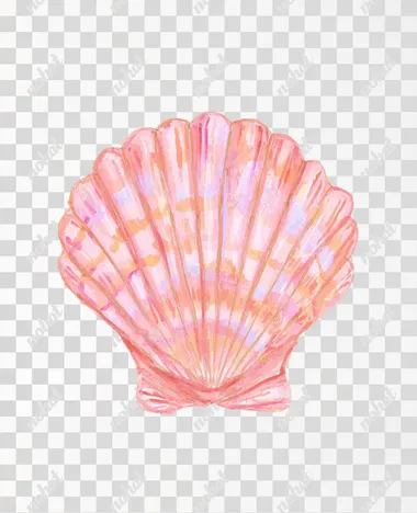 "Watercolor illustration of a single scallop seashell, painted in soft pastel tones of pink, peach, coral, and light blue, on a clean white background, minimal and elegant composition, delicate brush texture, botanical illustration style