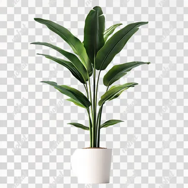 tall potted plant on white background photorealistic